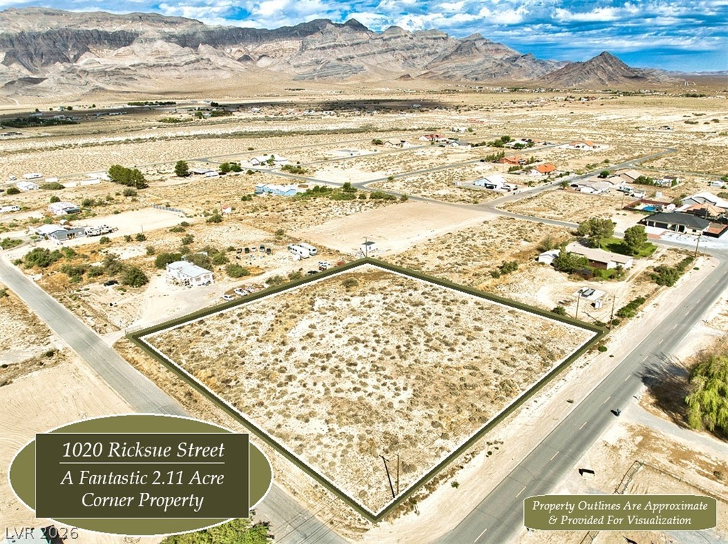 1020 Ricksue Street Pahrump NV 89060