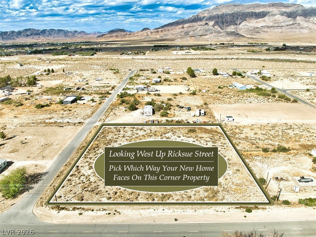 1020 Ricksue Street Pahrump NV 89060