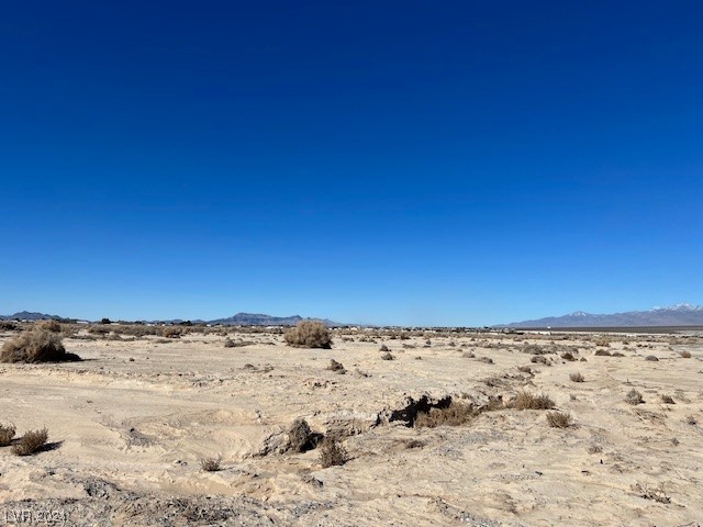 4220 South Dice Avenue Pahrump NV 89061