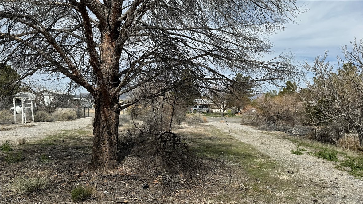 1901 West Vondell Drive Pahrump NV 89048