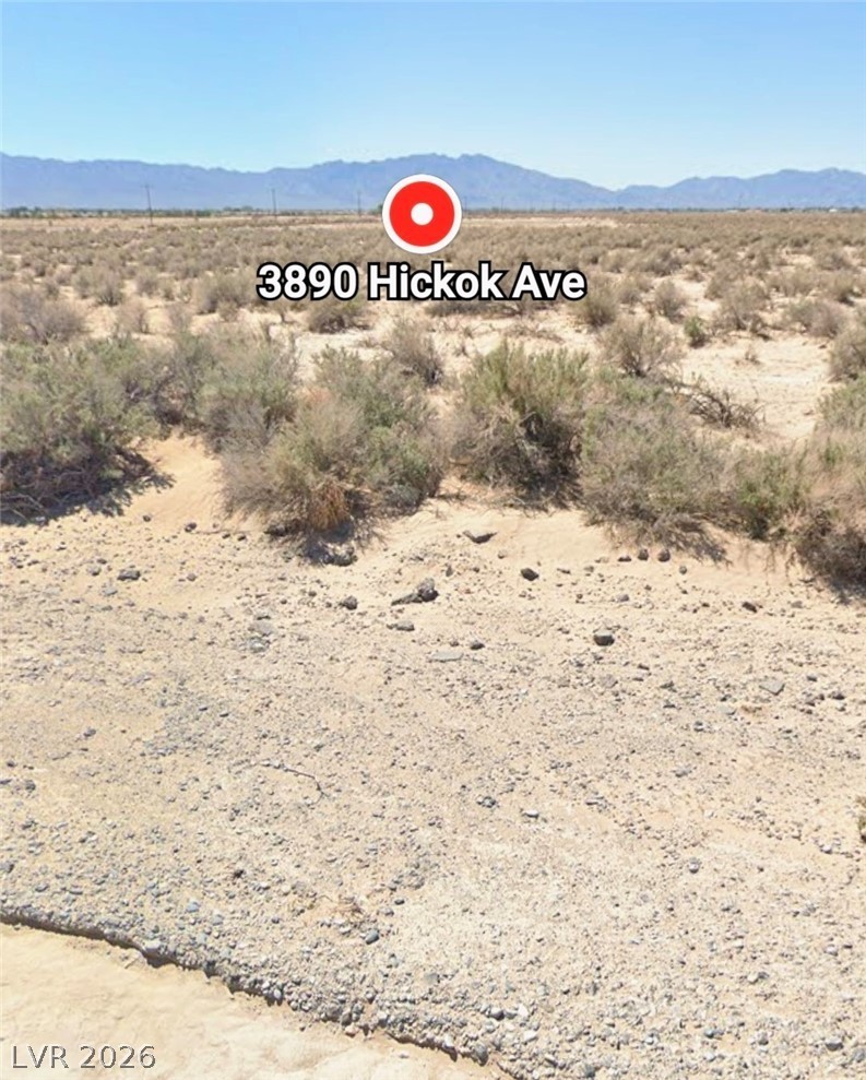 3890 South Hickok Avenue Pahrump NV 89048