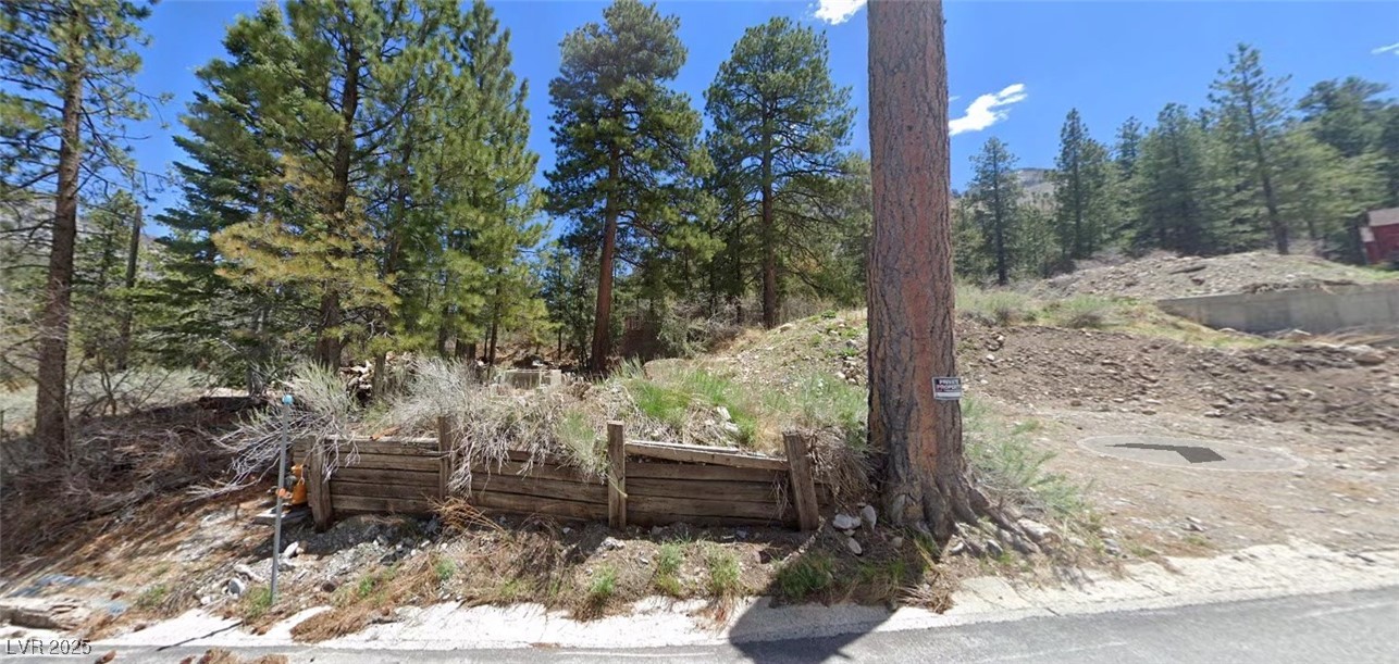 204 Rainbow Canyon Boulevard Mount Charleston NV 89124