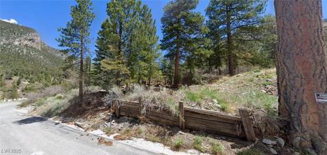 204 Rainbow Canyon Boulevard Mount Charleston NV 89124