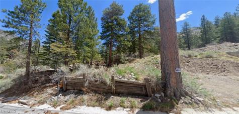 204 Rainbow Canyon Boulevard Mount Charleston NV 89124