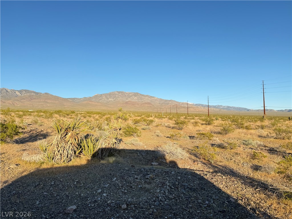 1711 East Chess Way Pahrump NV 89060