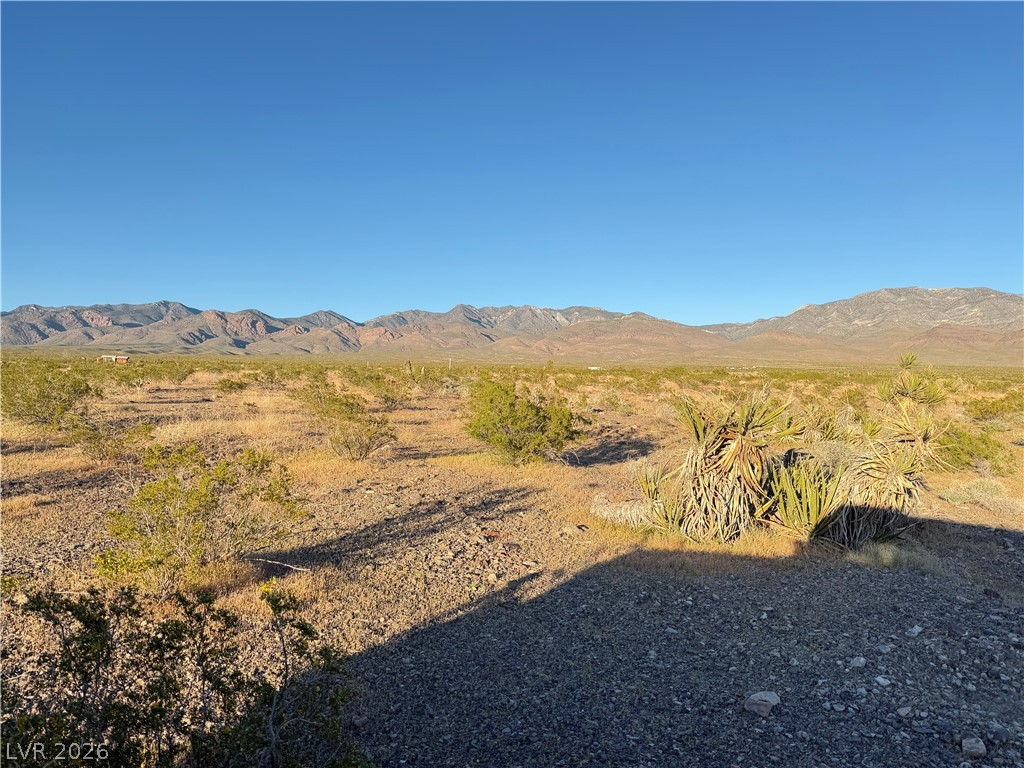 1711 East Chess Way Pahrump NV 89060
