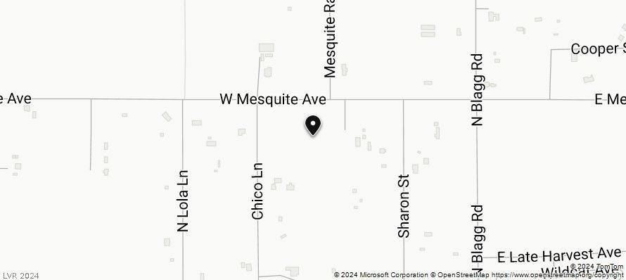 281 West Mesquite Avenue Pahrump NV 89060