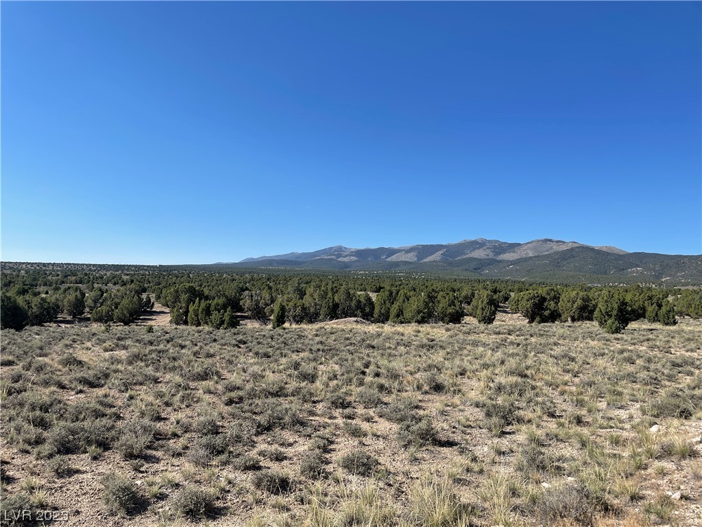 Juniper Hills Drive Ely NV 89301