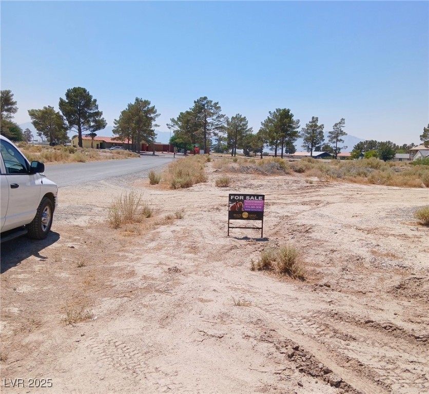 590 East San Lorenzo Street Pahrump NV 89048