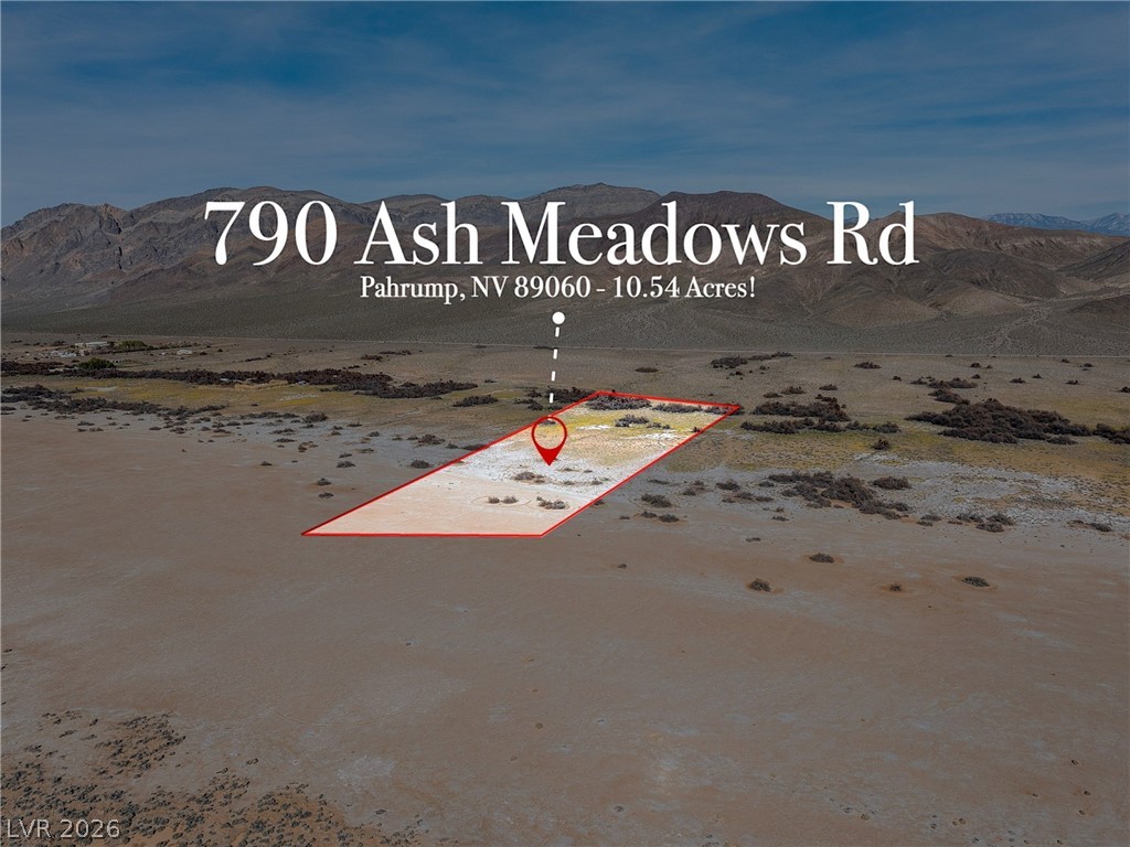 790 North Ash Meadows Road Pahrump NV 89060