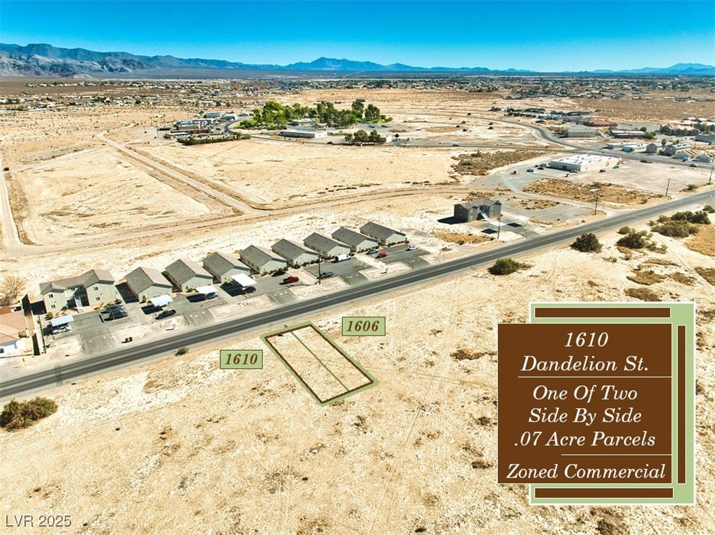1610 South Dandelion Street Pahrump NV 89048