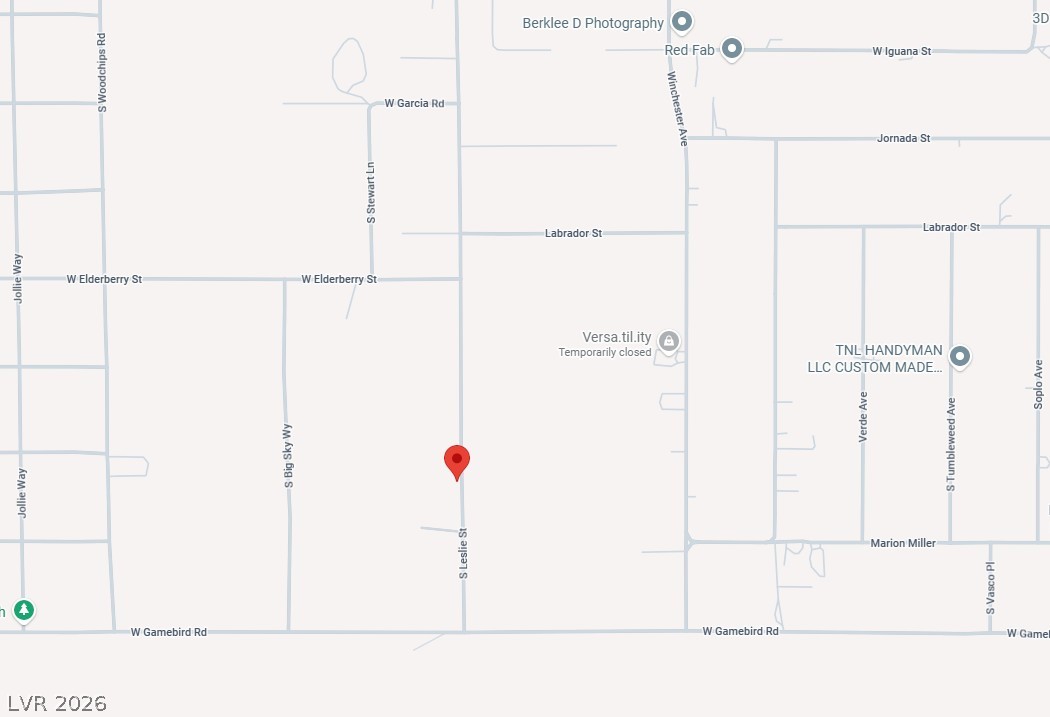 3790 South Leslie Street Pahrump NV 89048