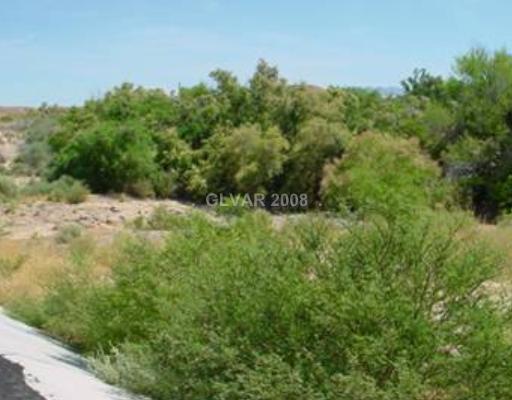 5110 North Overlook Road Pahrump NV 89060