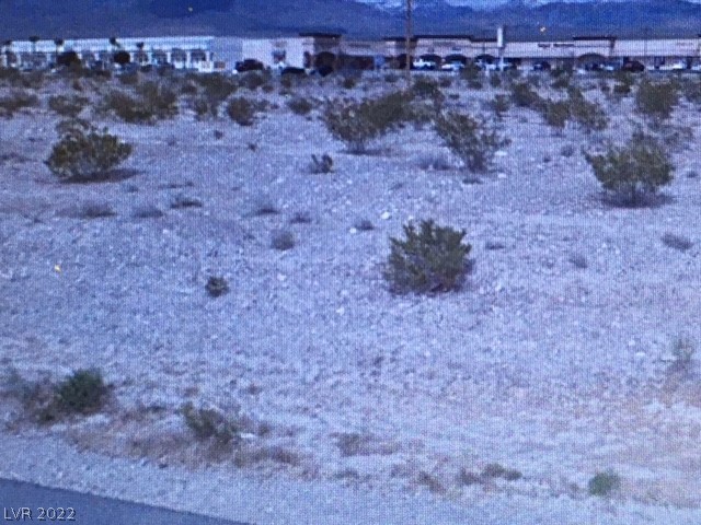 161 Emery Street Pahrump NV 89048