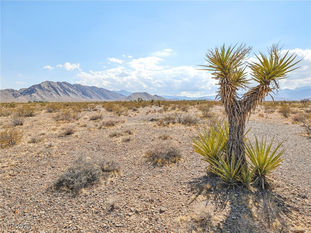 Pringle Las Vegas NV 89166