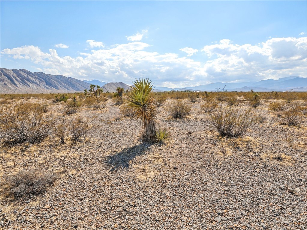 Pringle Las Vegas NV 89166