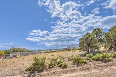 133 Wind Drift Cold Creek NV 89124