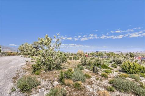 133 Wind Drift Cold Creek NV 89124