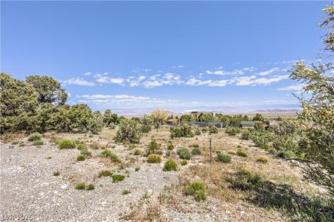 133 Wind Drift Cold Creek NV 89124