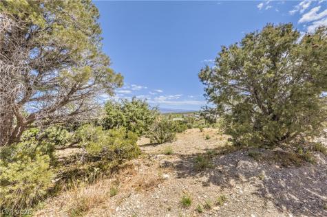 133 Wind Drift Cold Creek NV 89124