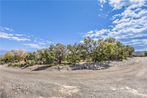133 Wind Drift Cold Creek NV 89124