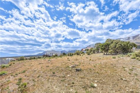 133 Wind Drift Cold Creek NV 89124