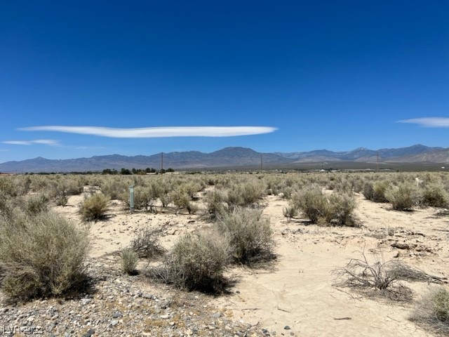2511 East Poppy Circle Pahrump NV 89048