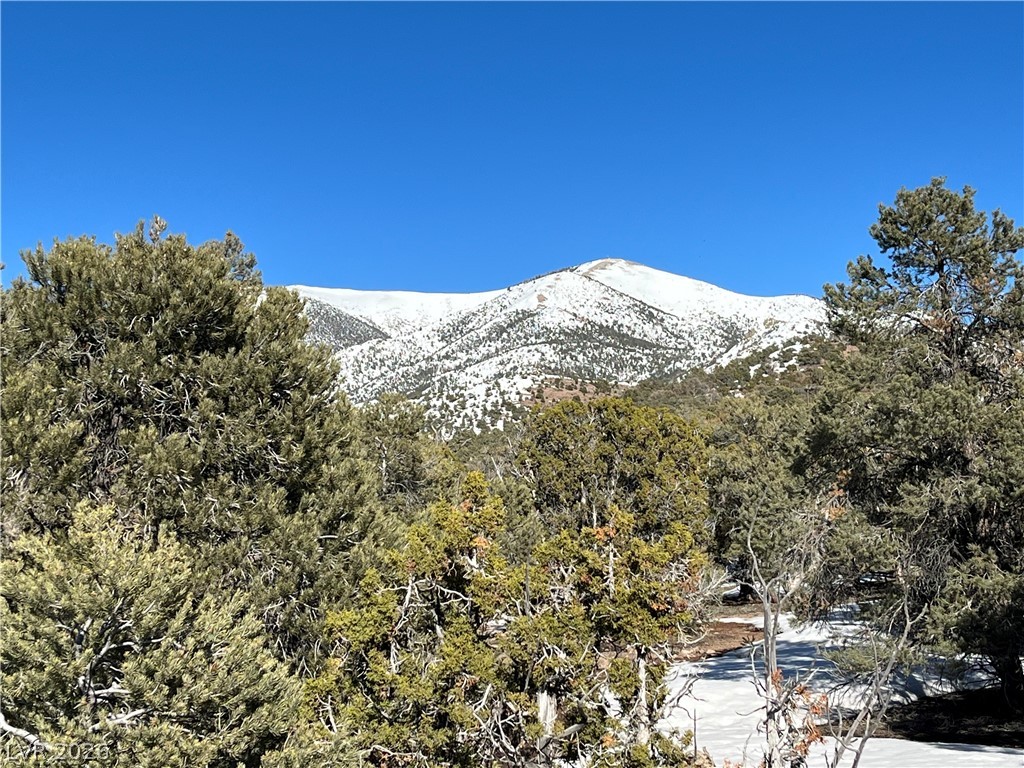 Lomprey Pioche NV 89043