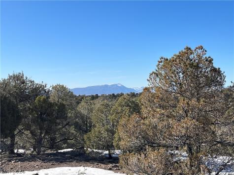Lomprey Pioche NV 89043