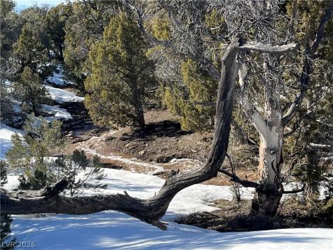 Lomprey Pioche NV 89043