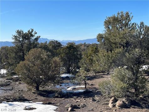 Lomprey Pioche NV 89043