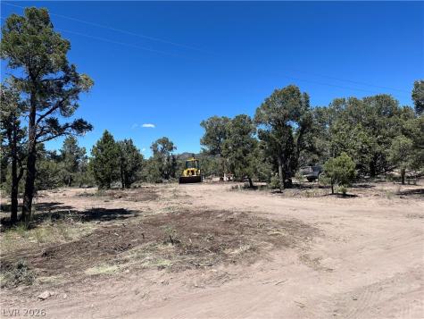 Lomprey Pioche NV 89043