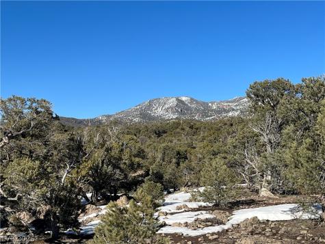 Lomprey Pioche NV 89043
