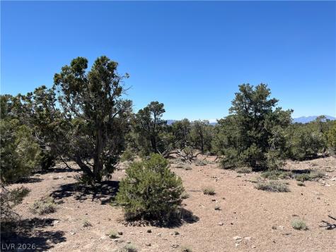 Lomprey Pioche NV 89043