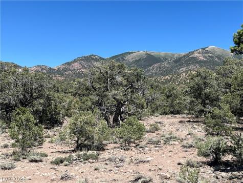 Lomprey Pioche NV 89043