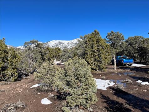 Lomprey Pioche NV 89043
