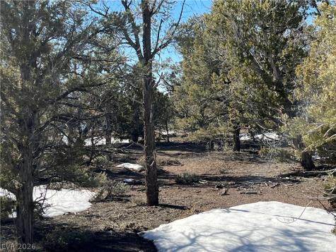 Lomprey Pioche NV 89043