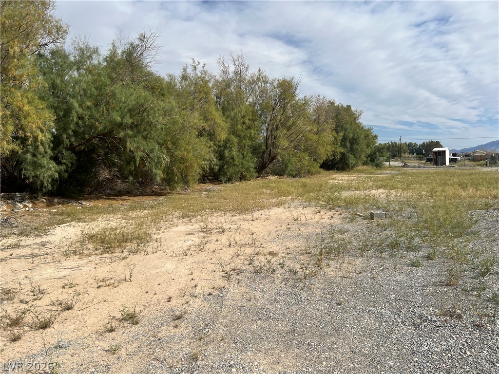 160 South Leslie Street Pahrump NV 89048