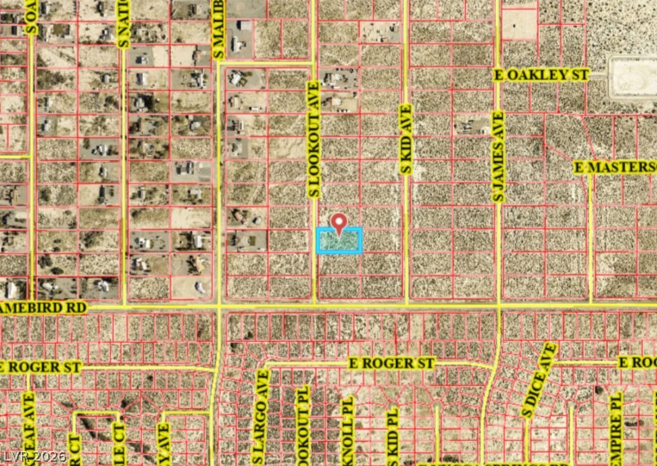 3921 South Lookout Avenue Pahrump NV 89048