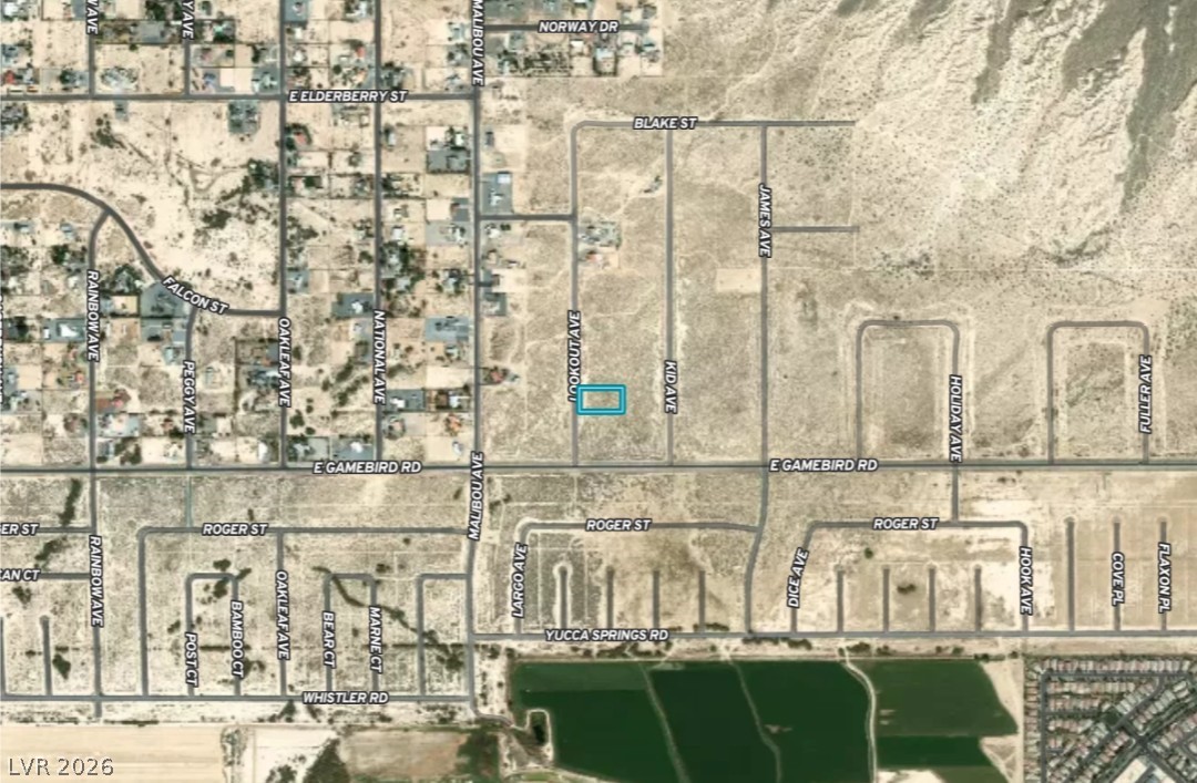 3921 South Lookout Avenue Pahrump NV 89048