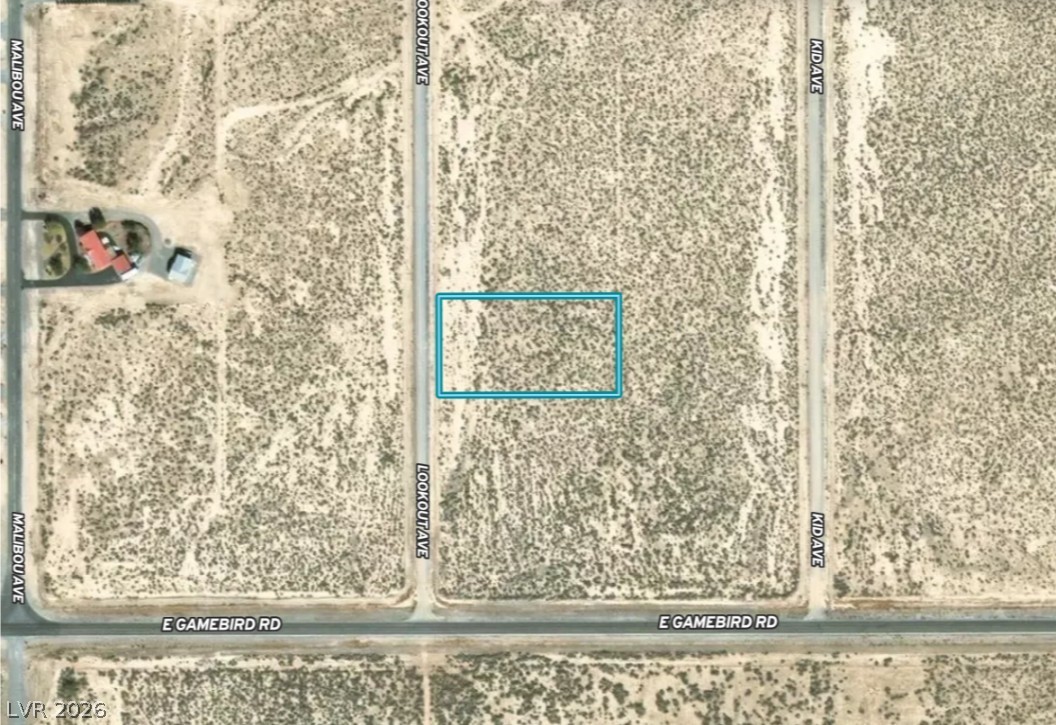3921 South Lookout Avenue Pahrump NV 89048