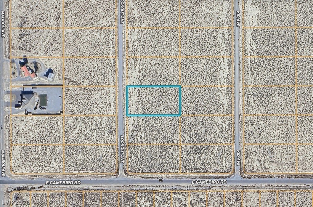 3921 South Lookout Avenue Pahrump NV 89048