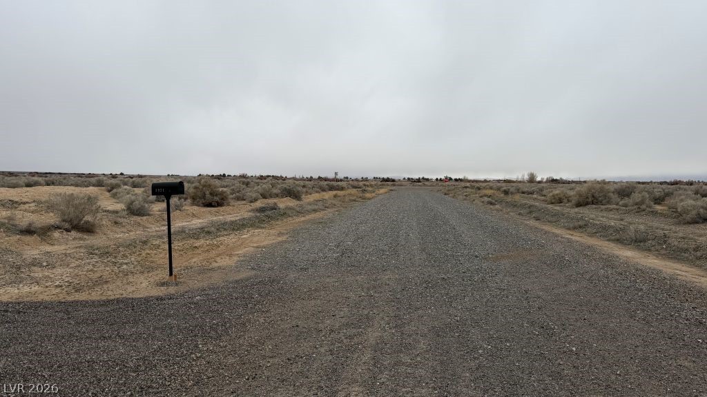 3921 South Lookout Avenue Pahrump NV 89048