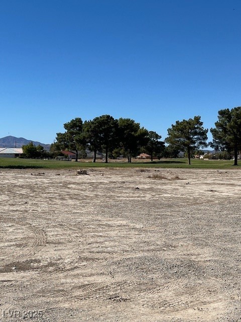 1990 South Gato Avenue Pahrump NV 89048