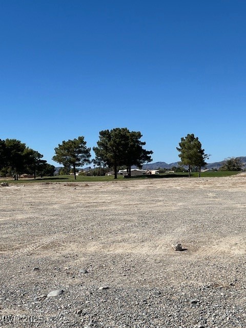 1990 South Gato Avenue Pahrump NV 89048