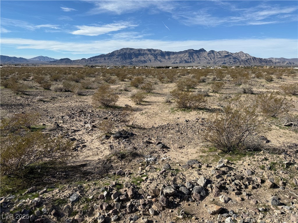 4720 Horizon Avenue Pahrump NV 89060