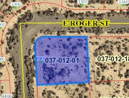 4081 South Underbrush Avenue Pahrump NV 89048