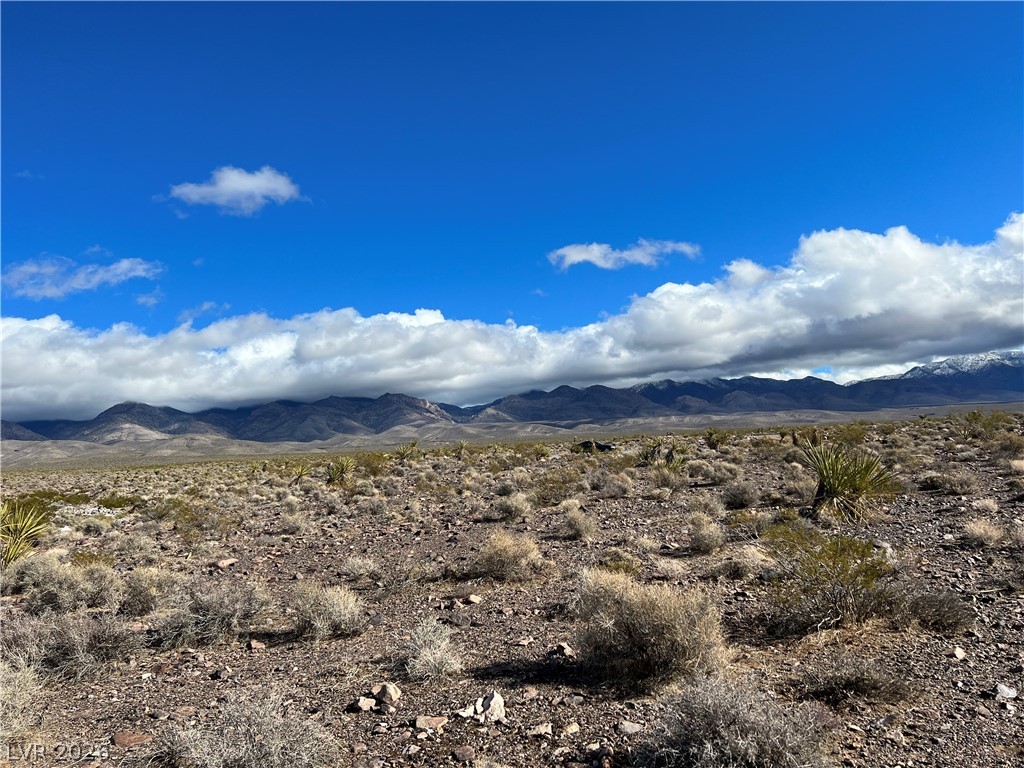 560 West Ohio Road Pahrump NV 89020