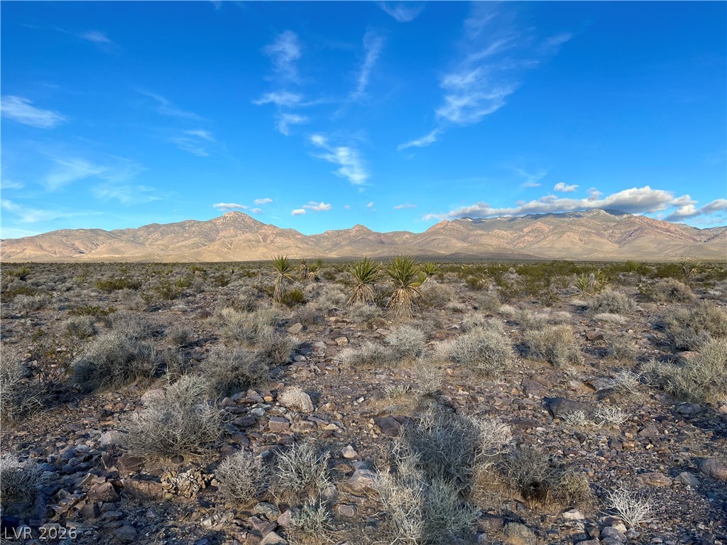 560 West Ohio Road Pahrump NV 89020