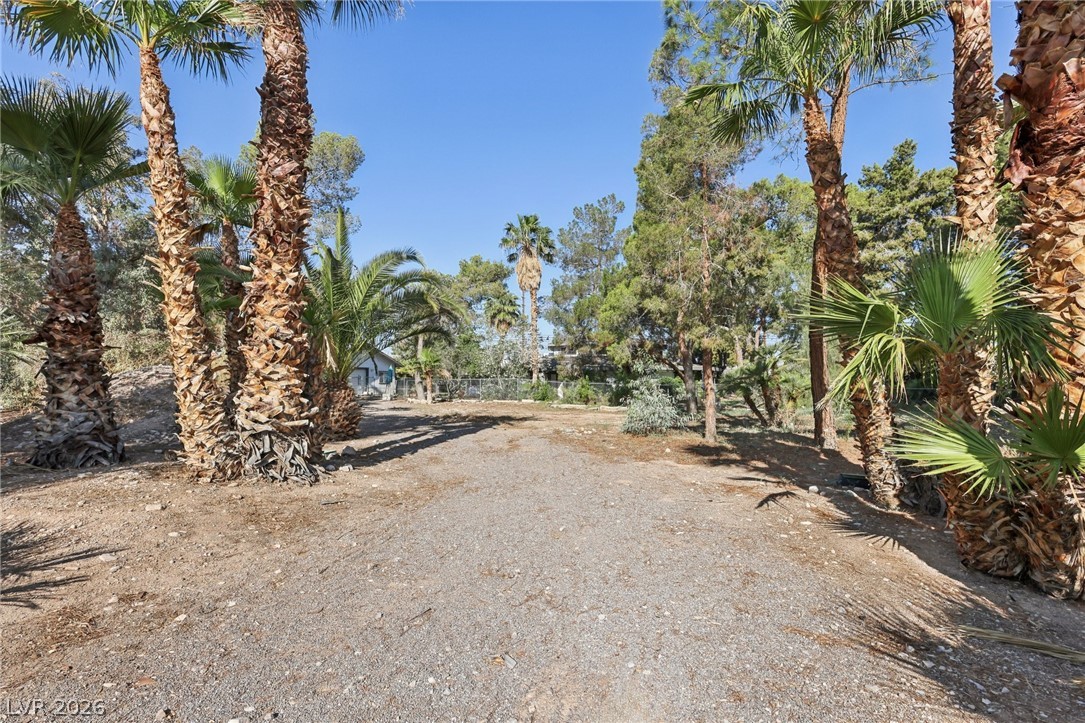 55 Siddall Avenue Las Vegas NV 89183